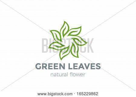 Green Leaves Star Logo design vector template.