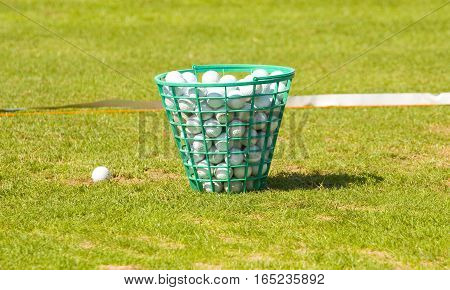 Busket with golf balls on grass of golf field.