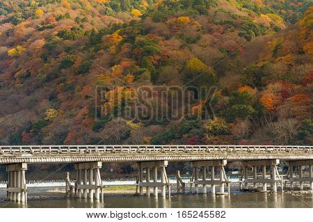 Togetsukyo bridge pass through Arashiyama forest during Autumn season Japan