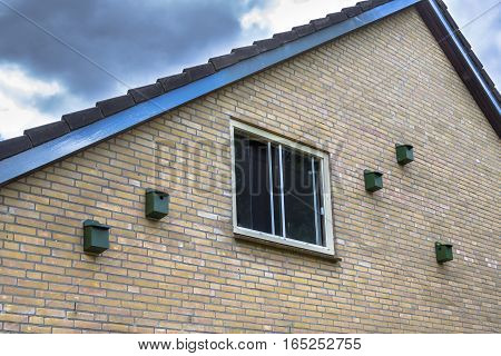 Bird House Nesting Boxes For House Sparrow On A Building In Urban Environment