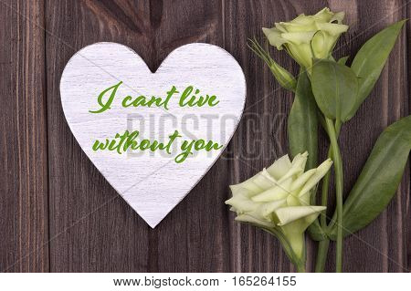 Valentine Card With Text I Cant Live Without You Green