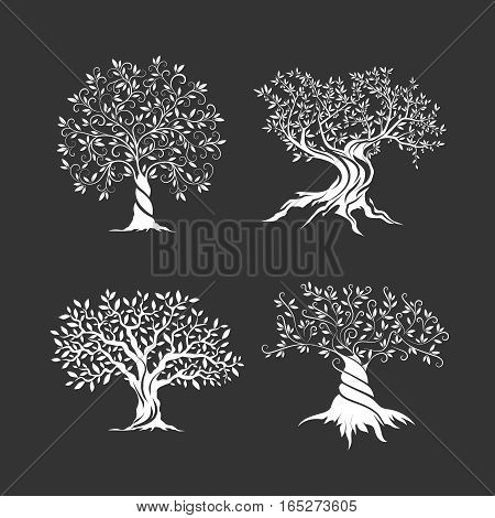 Olive trees silhouette icon set isolated on dark background. Web infographic modern vector sign.Premium quality illustration logo design concept pictogram.
