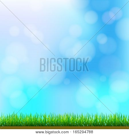 Natural Green Grass Background with Focus and Bokeh