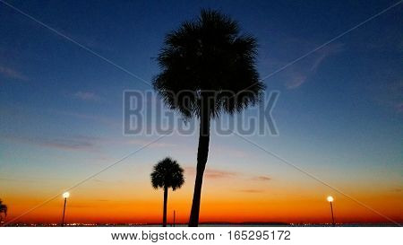 South Tampa Bay early morning sunrise walk