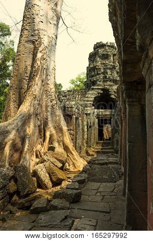 Temple of Angkor Wat. Siem Reap. Khmer civilization. Travel photos from Cambodia