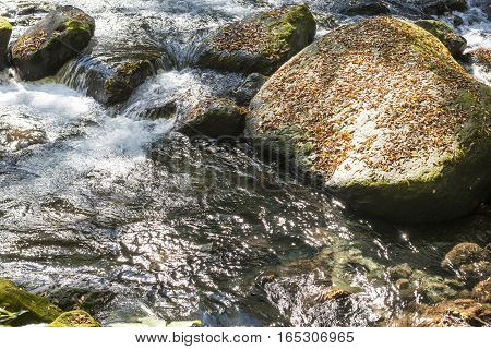 Brook flowing and fallen leaves on stone