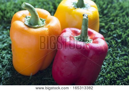 closeup of three paprikas yellow, red & orange on grass background