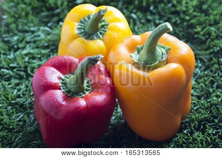 closeup of three paprikas yellow, red & orange on grass background