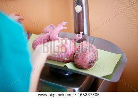 Newborn child seconds and minutes after birth. Doctor hands with new born girl. Adorable cute baby on scale for measuring weight. New life, beginning, healthcare.