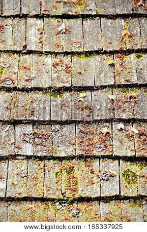 Architecture detail with old and weathered wooden roof tiles