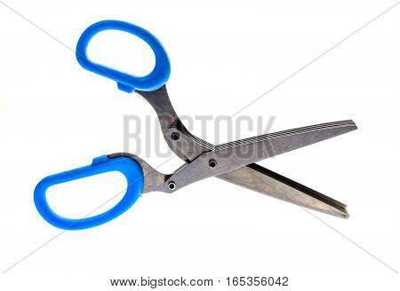 Herb And Spice Scissors With Comb On A White Background.