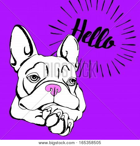 bulldog dog animal french vector illustration pet breed cute drawing puppy