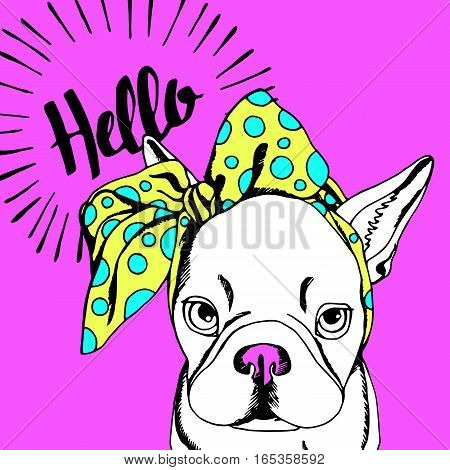 bulldog dog animal french vector illustration pet breed cute drawing puppy