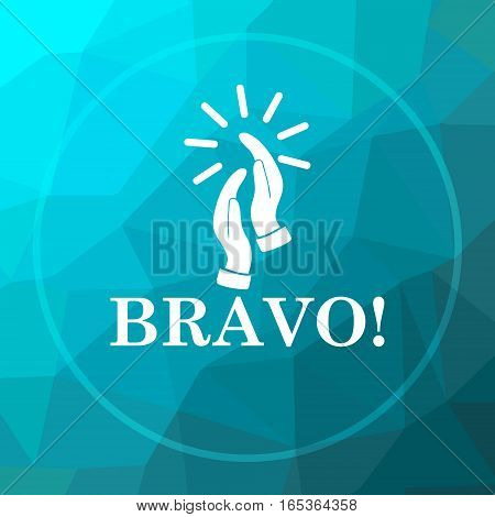 Bravo Icon
