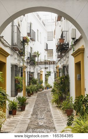 Cordoba (Andalucia Spain): old typical street in the Juderia with plants and flowers