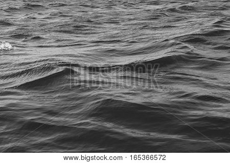Closeup of water waves in black and white