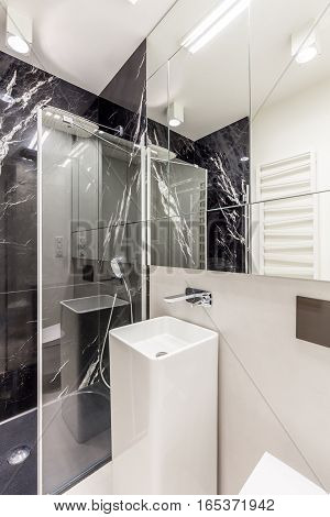 Light Bathroom With Modern Shower Stall