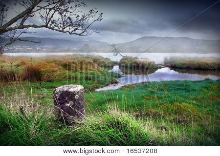 Paesaggio mistico con erba verde e fiume nebbioso