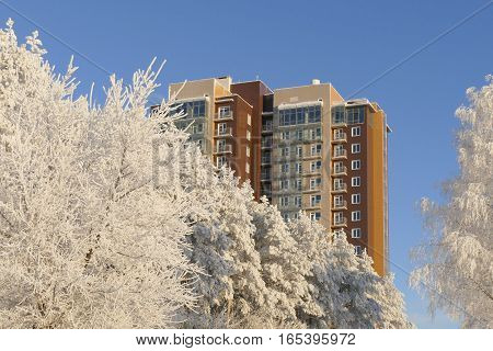 View on the modern highrise apartment building through snowy forest in winter sunny day.