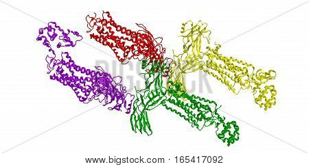 Molecular structure of rhodopsin - is a light sensitive receptor protein 3D rendering