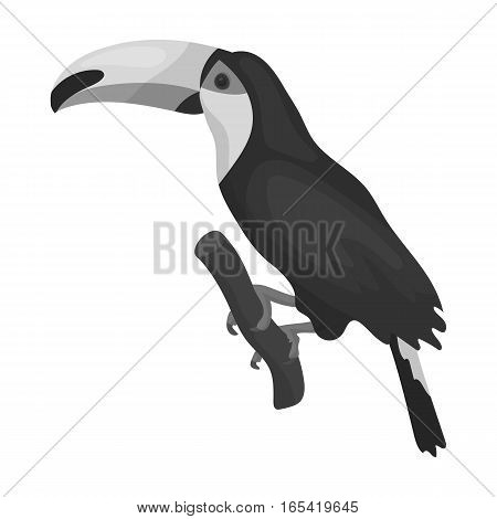 Brazilian toucan icon in monochrome design isolated on white background. Brazil country symbol stock vector illustration.