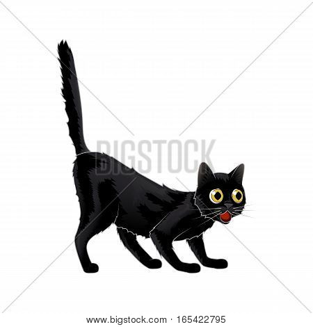 Cartoon Black Cat in shock she was astonished. Isolated Vector illustration