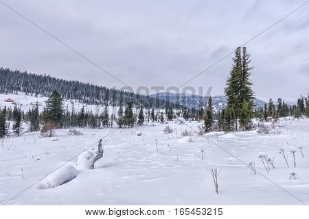 winter landscape in Siberia in Khakasia in Russia.
