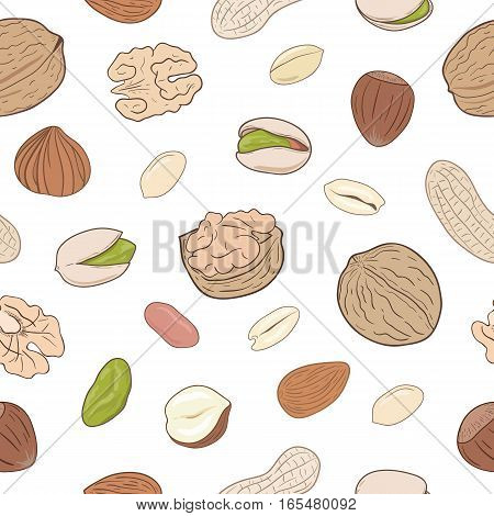 Seamless pattern with shelled and whole walnuts, peanuts, almonds, pistachios, hazelnuts. Hand drawn nuts vector seamless pattern, eps10. For backgrounds, packaging, ads, labels and other designs.