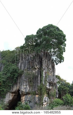 Suan Hin Pha Ngam or Thailand's Kunming A limestone garden in Loei Thailand
