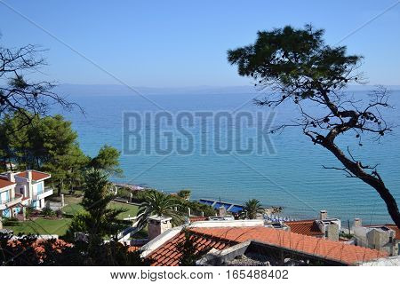 Seascape. Greece Kassandra Halkidiki. Blue sky and the sea bent old pine