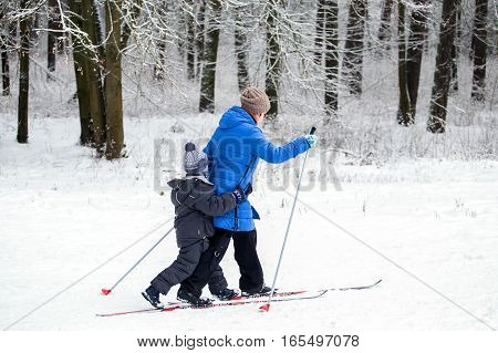 GRODNO BELARUS -JANUARY 15 : Young mother with her son skiing together in winter forest JANUARY 15 2016 GRODNO BELARUS
