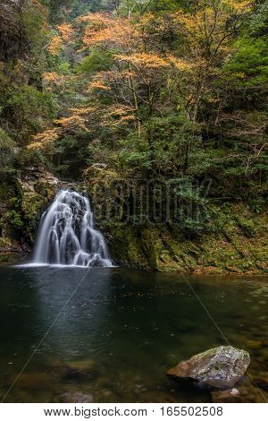 Beautiful in nature the Akame 48 waterfalls in autumn Mie Prefecture Japan