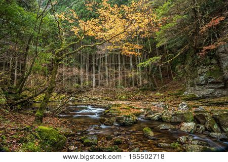 Beautiful in nature the Akame 48 waterfalls in autumn Mie Prefecture Japan