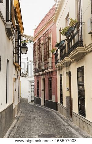 Cordoba (Andalucia Spain): old typical street in the Juderia