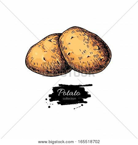 Potato vector drawing. Isolated hand drawn  potatoes heap. Vegetable artistic  style illustration. Detailed vegetarian food sketch. Farm market product.
