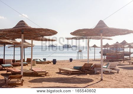 sun umbrellas abd sunbeds at Egyptian beach