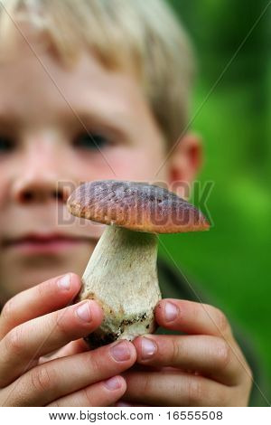 Kind met wilde paddestoel gevonden in het bos