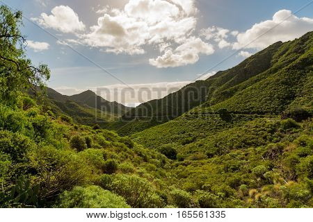 Road TF-12 in Anaga Rural Park - evergreen peaks with ancient forest on Tenerife Canary Islands winter travel destination