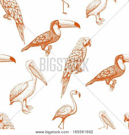 seamless pattern with exotic birds. ector illustration
