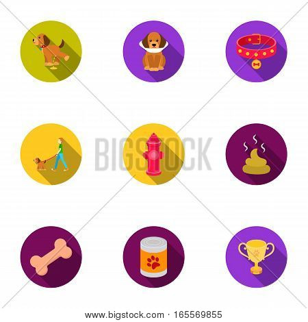 Dog equipment set icons in flat style. Big collection dog equipment vector symbol stock