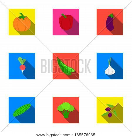 Vegetables set icons in flat style. Big collection of vegetables vector symbol stock