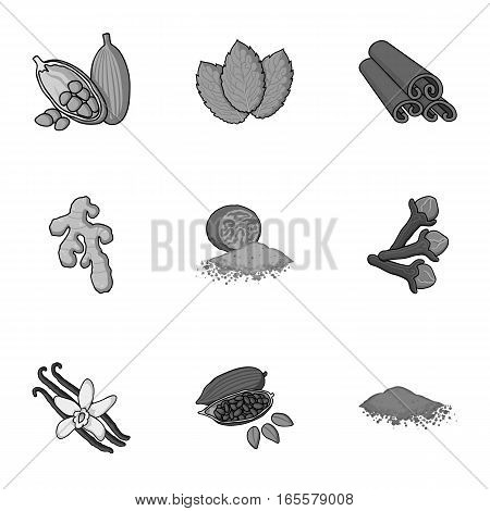 Herb and spices set icons in monochrome style. Big collection of herb and spices vector symbol stock