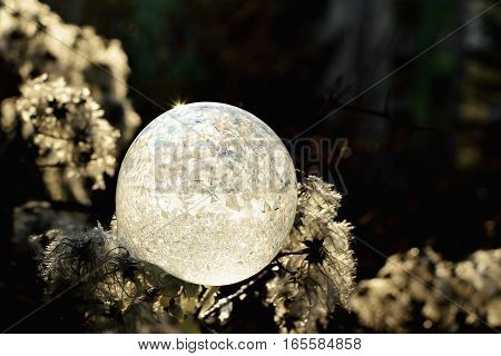 Frozen soap bubble. Cold winter liquid ball experiment. Freezing water with icy patter texture