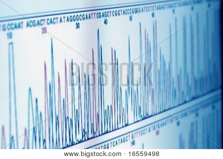 grafico di scienza sullo schermo del computer