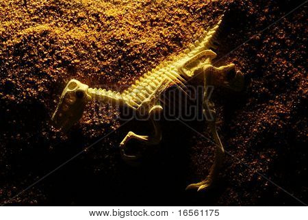 Dinosaur Skull
