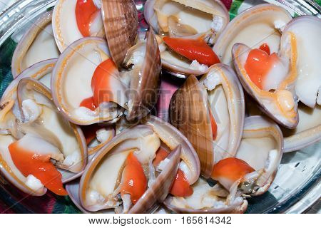 fresh cockles recently caught and still alive