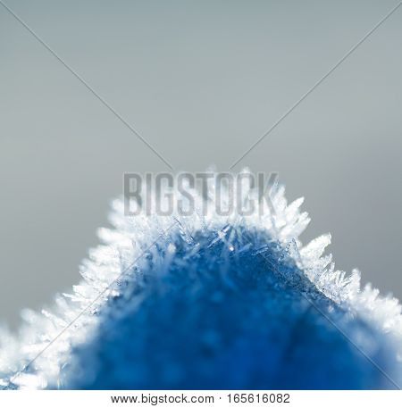 Snow Crystals In Beautiful Macro