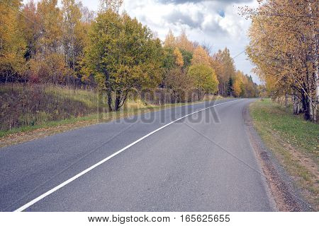 Golden Autumn. Suburban shosse with new road markings on cloudy autumn day
