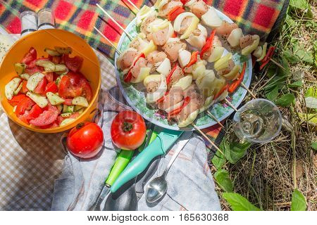outside picnic with vegetables and chicken skewers