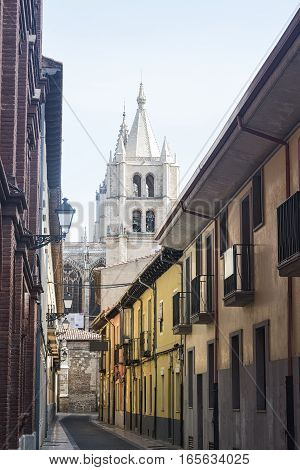 Leon (Castilla y Leon Spain): historic street with the cathedral in background